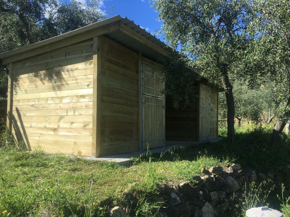 Agriturismo Oltrealmare Civezza 외부 사진