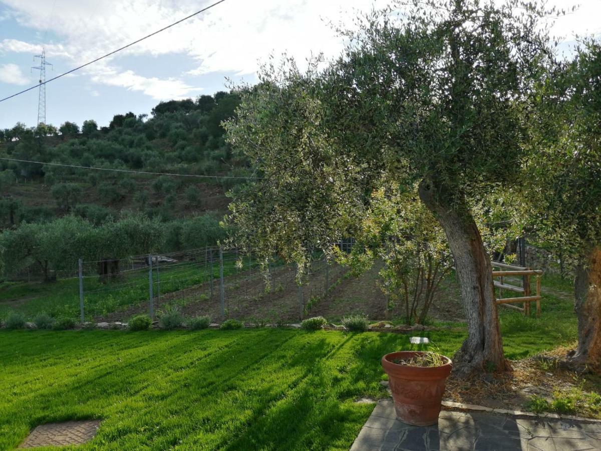 Agriturismo Oltrealmare Civezza 외부 사진
